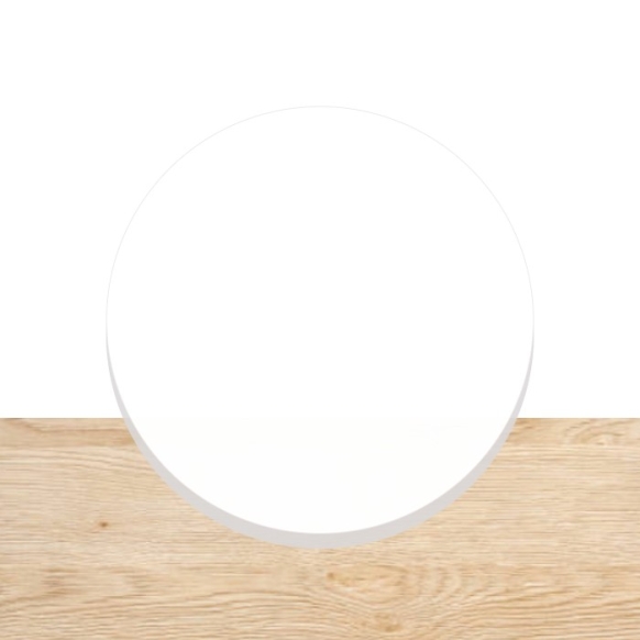 pom cirkel wit 2mm dikte