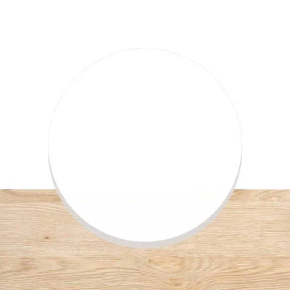 pom cirkel wit 2mm dikte